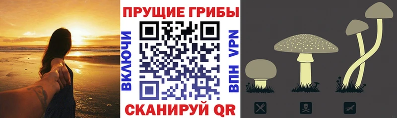 Галлюциногенные грибы MAGIC MUSHROOMS  Купить где  Геленджик 